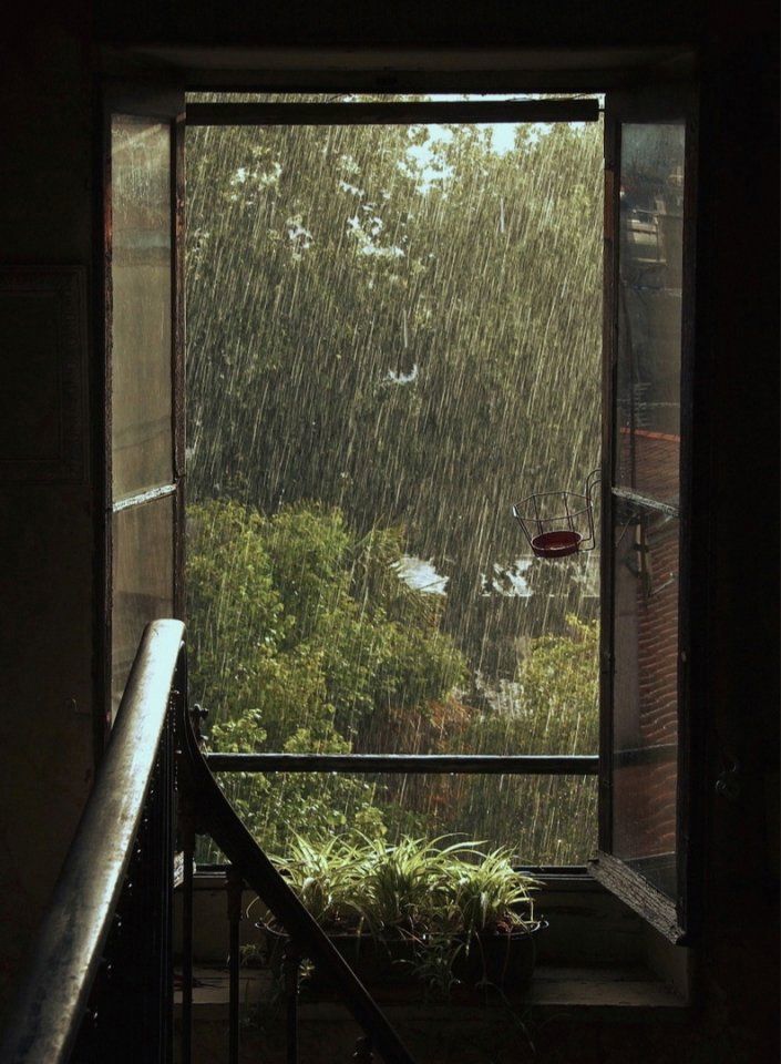 Подборка фото дождливой погоды