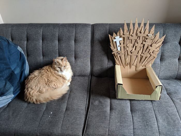 Настоящий трон для короля