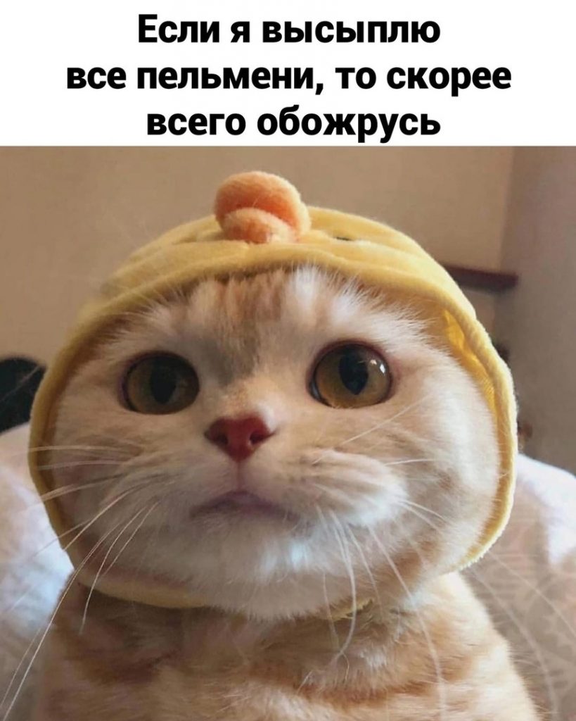 Пельмешки