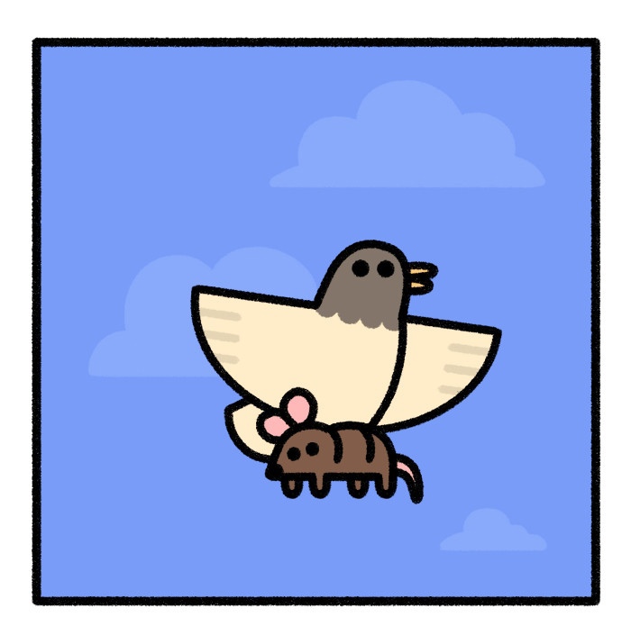 Птичья личность