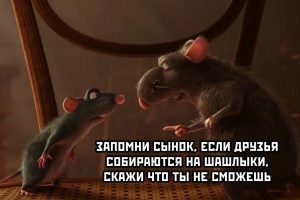 Мудрость от бати