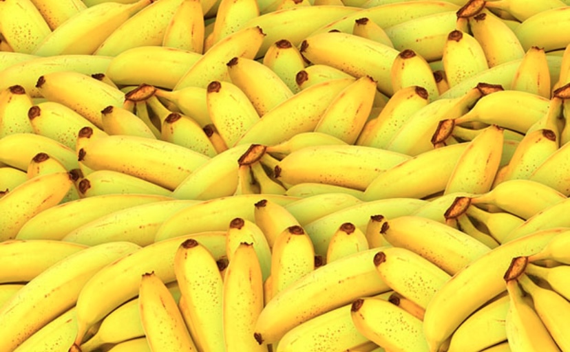 Бананы растут вовсе не на деревьях