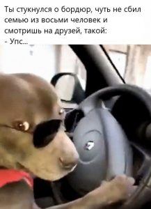 Жизненные автомемы, которые поймут только водители.