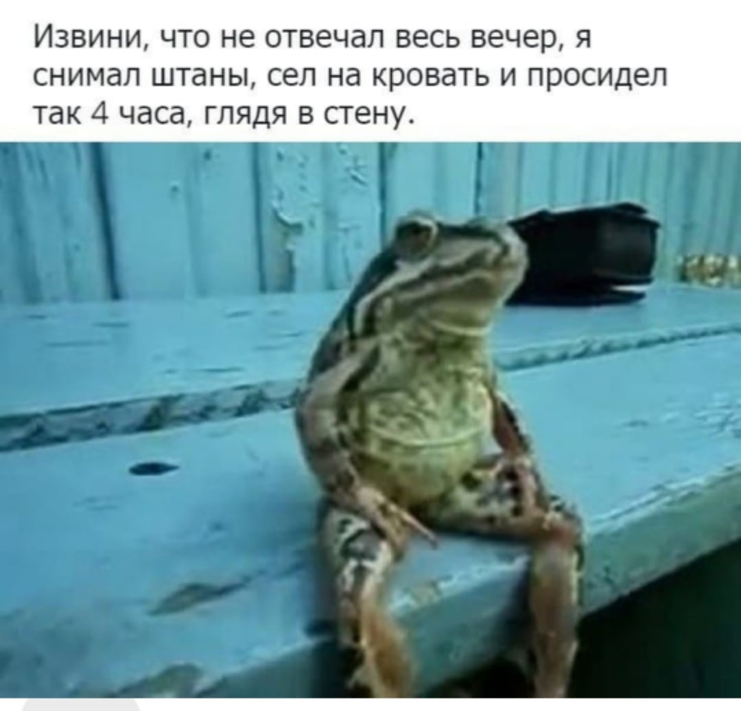 Я не ясновидящий. Я жопойчующий