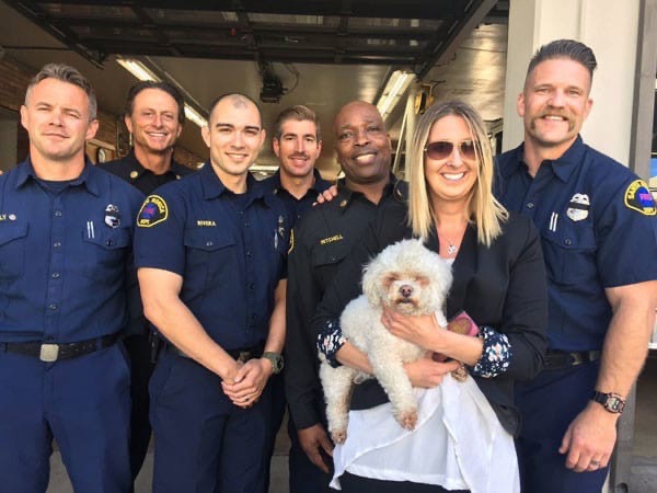 Пожарный спас маленькую собачку с помощью искусственного дыхания