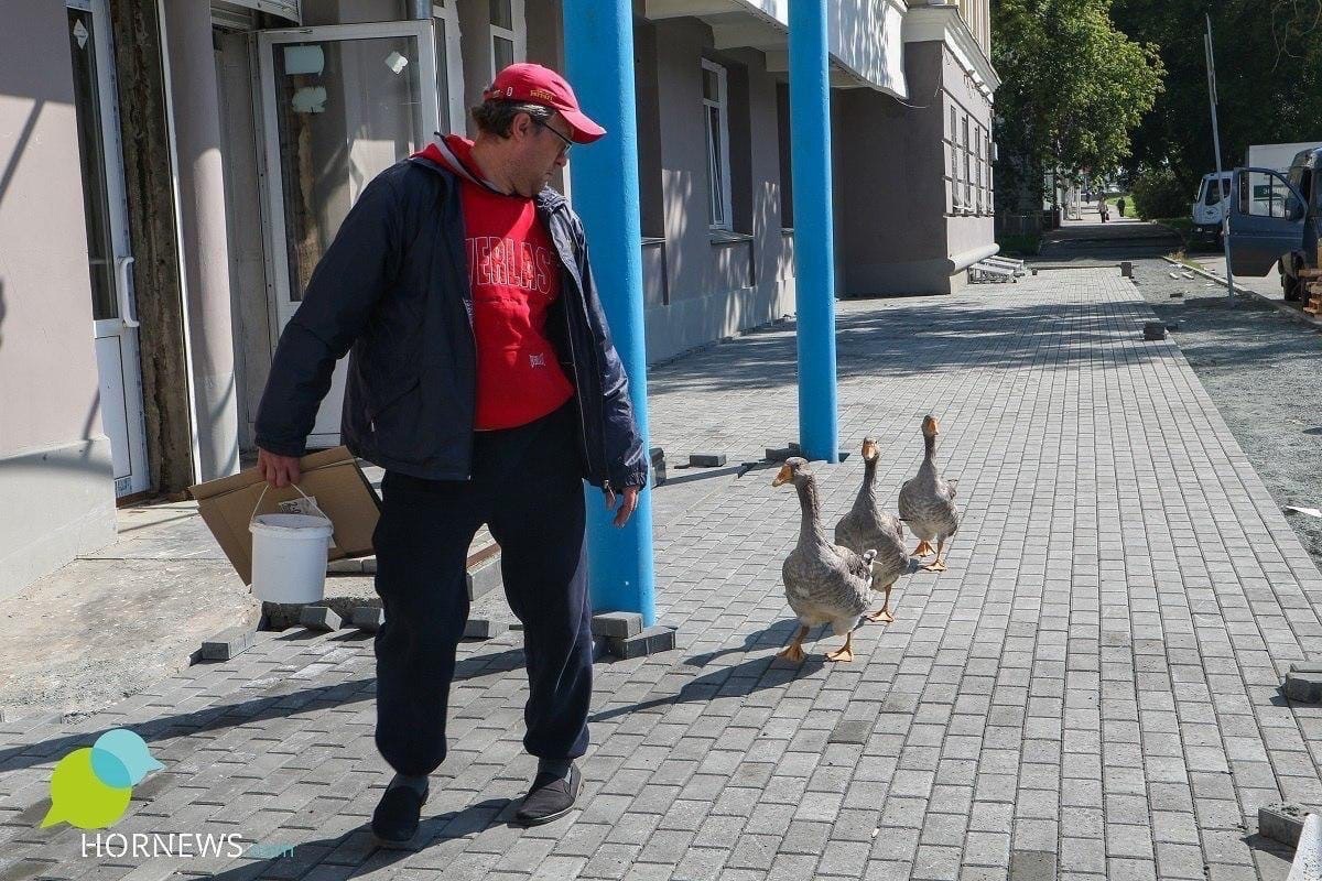 Житель Челябинска всегда мечтал завести питомцев и завёл — троих гусей