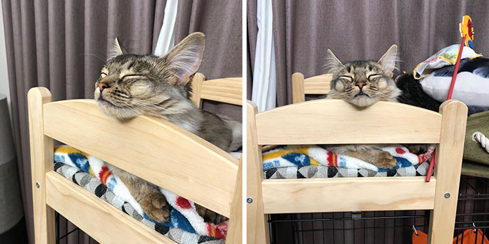 Кроватки IKEA для котиков