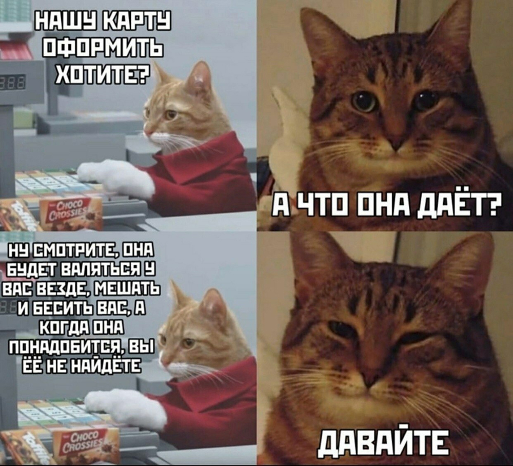 Мемы про кошек