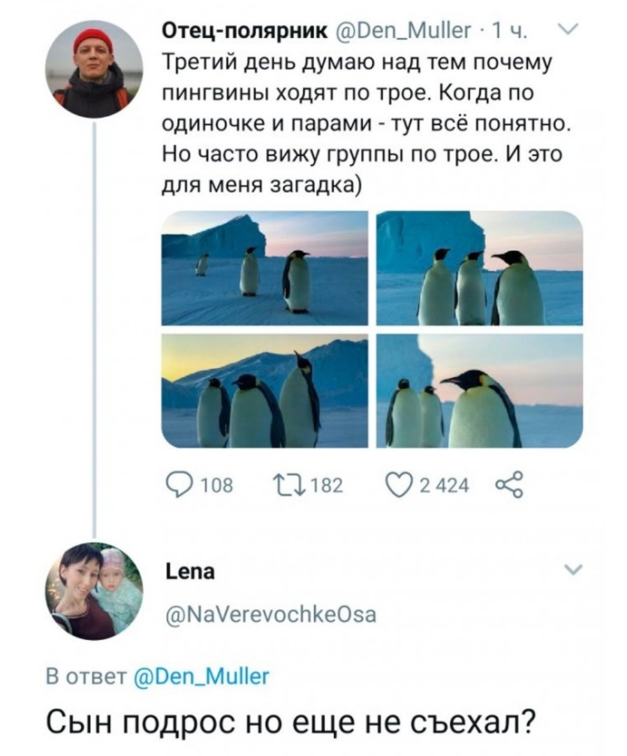 Что не так с пингвинами