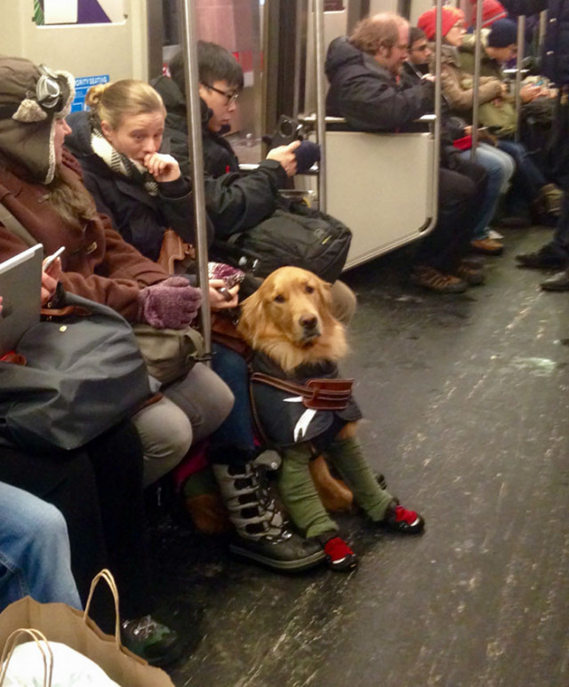 Самые очаровательные пассажиры метро
