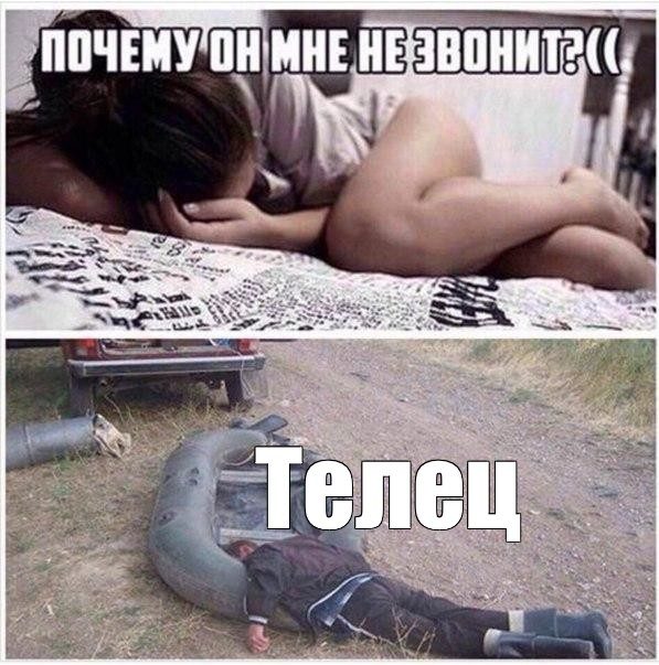 Мемы про Тельцов