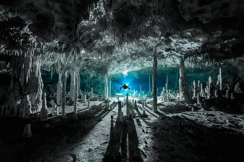 Удивительный подводный мир: необычные и интересные фото