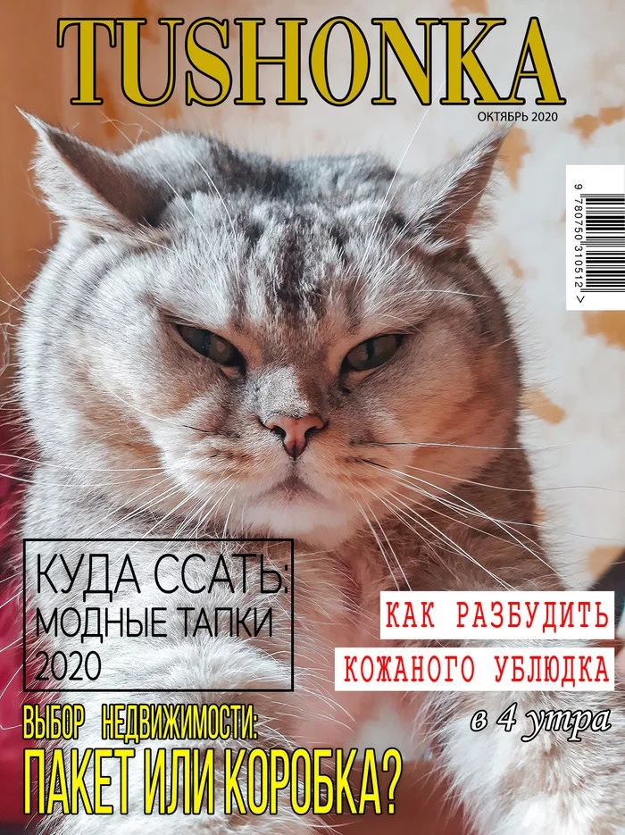 Журналы, которые тайком читает твой кот
