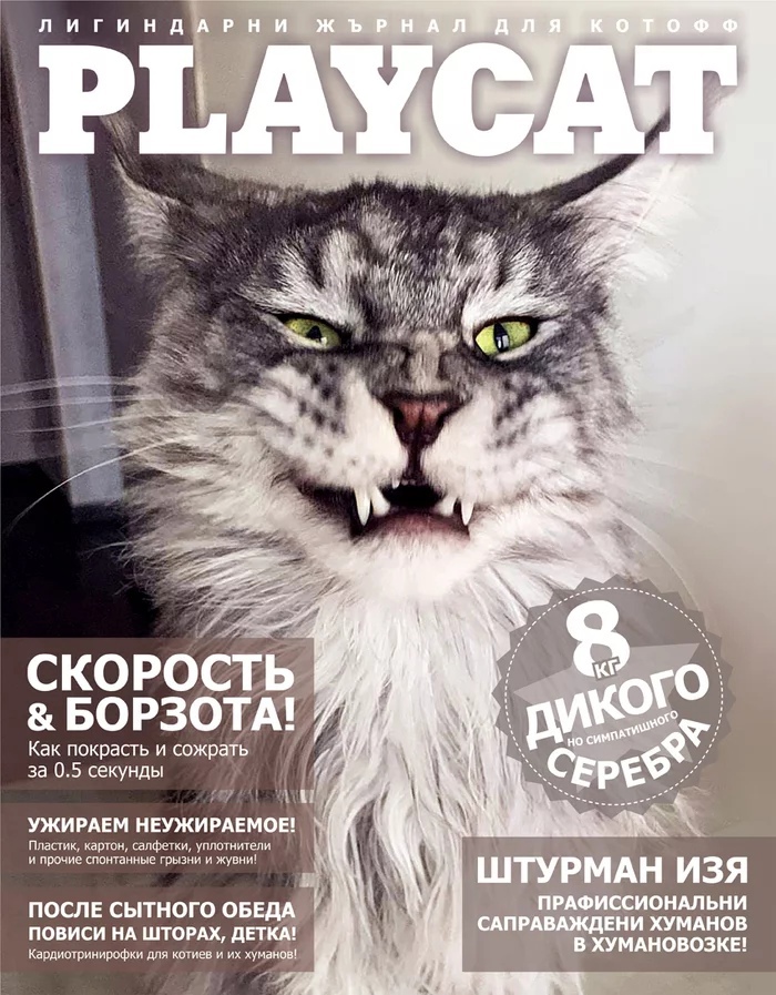 Журналы, которые ваш кот читает по ночам на чердаке