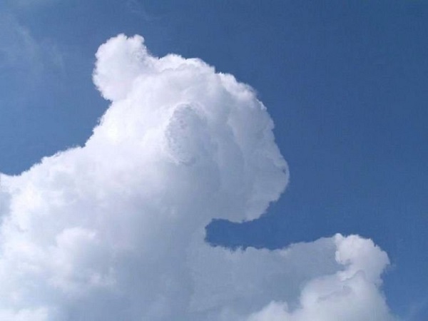 Необычные облака, похожие на животных и не только