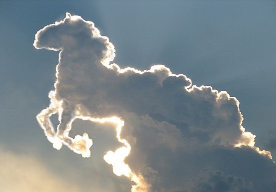 Необычные облака, похожие на животных и не только