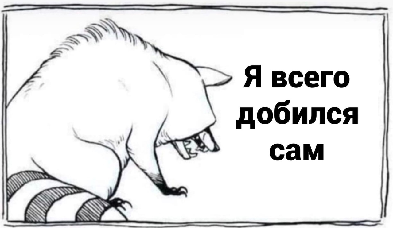 Мои достижения