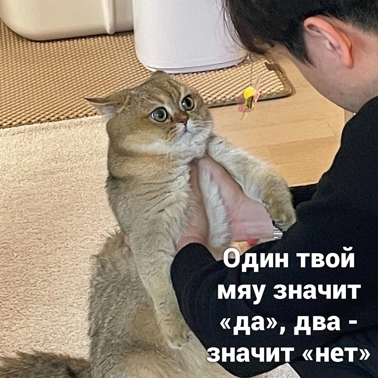 Шпионы среди нас