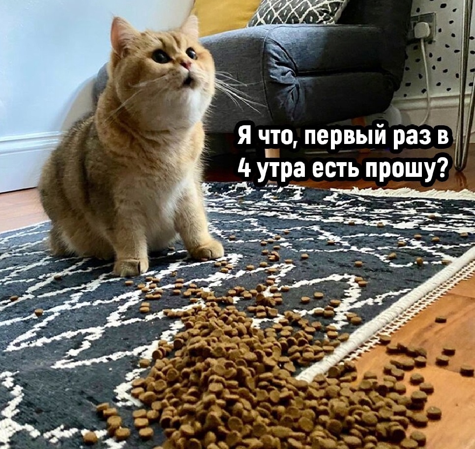 Не будь как Наташа