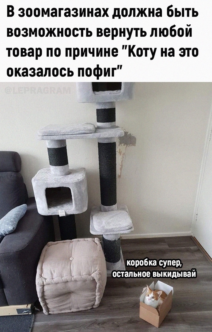 Лучший подарок