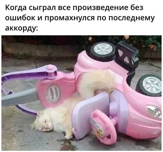 Жизнь музыканта