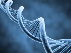Удивительная вместимость ДНК