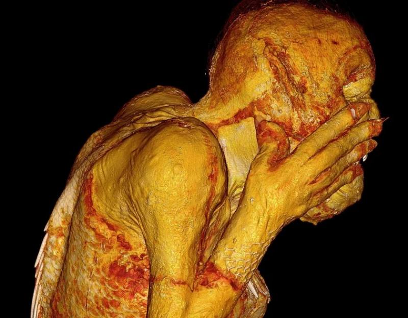 Русалка-мумия из Японии: ученые раскрыли тайну существа, которому поклонялись в течение веков