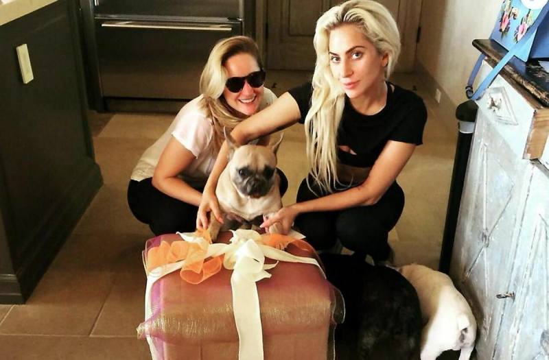 Гага не отдает деньги за возвращенных собак фото 1