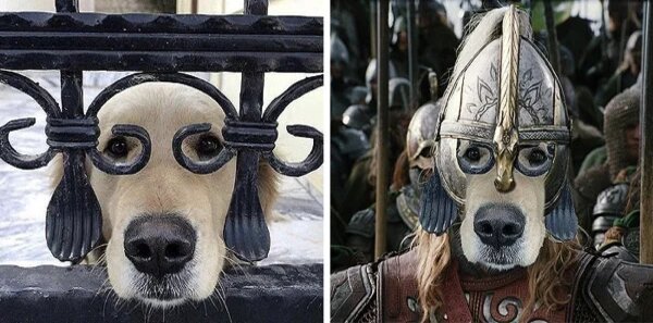 До и после фотошопа &#8212; 30 смешных работ, после ловкого преобразования мастером